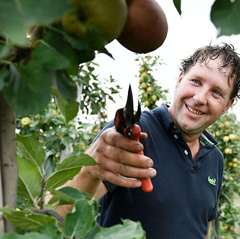 
Wellner Fruittrade BV,
familiebedrijf in Est.
Appel- en perenkwekerij.
