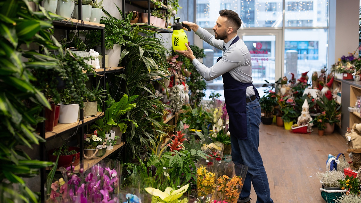 flower shop owner takes care of the plants on the shelves.