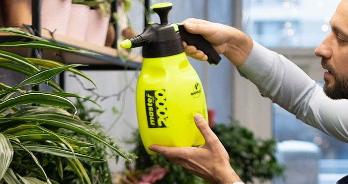 flower shop owner takes care of the plants on the shelves.