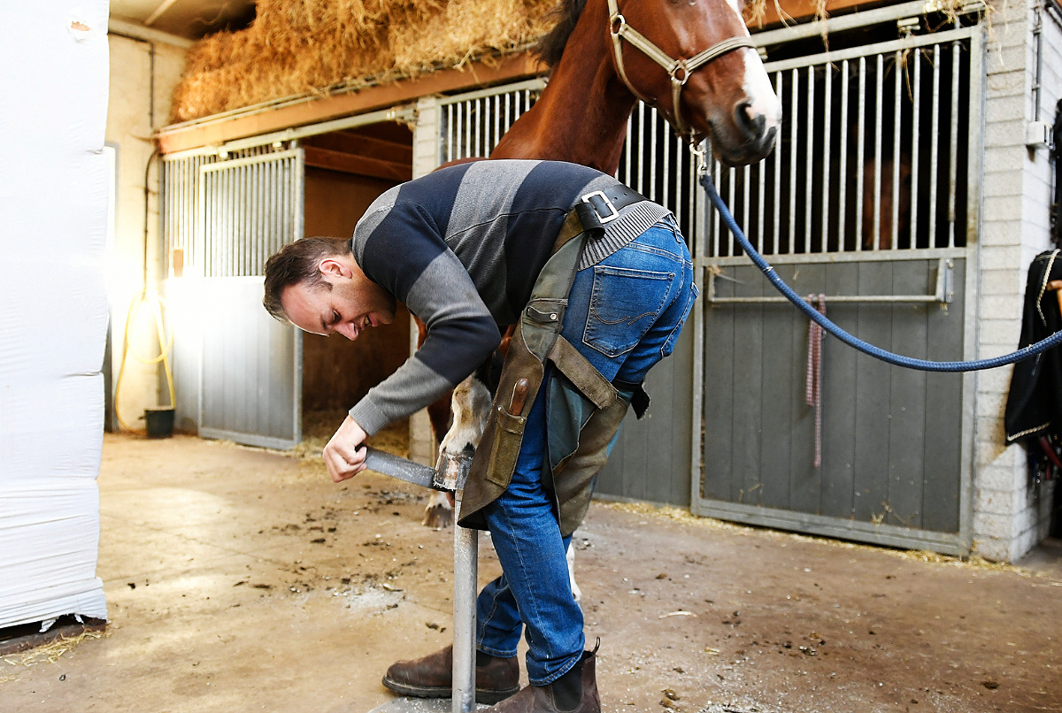 Fotoshoot bij varkenshouderij van klant Johan van den Heuvel uit Ommel.