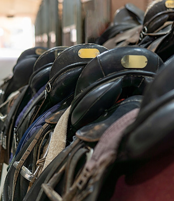 Horse saddles in the stable